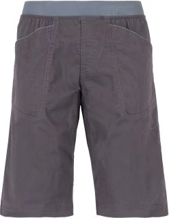 La Sportiva Flatanger Korte Broek Heren, Grijs