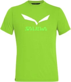 SALEWA Solidlogo Dry T-Shirt Heren, Groen
